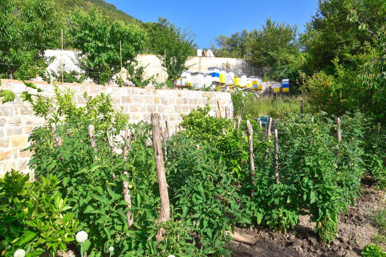 Verbalj Apartment With Swimming Pool Kotor Exterior foto